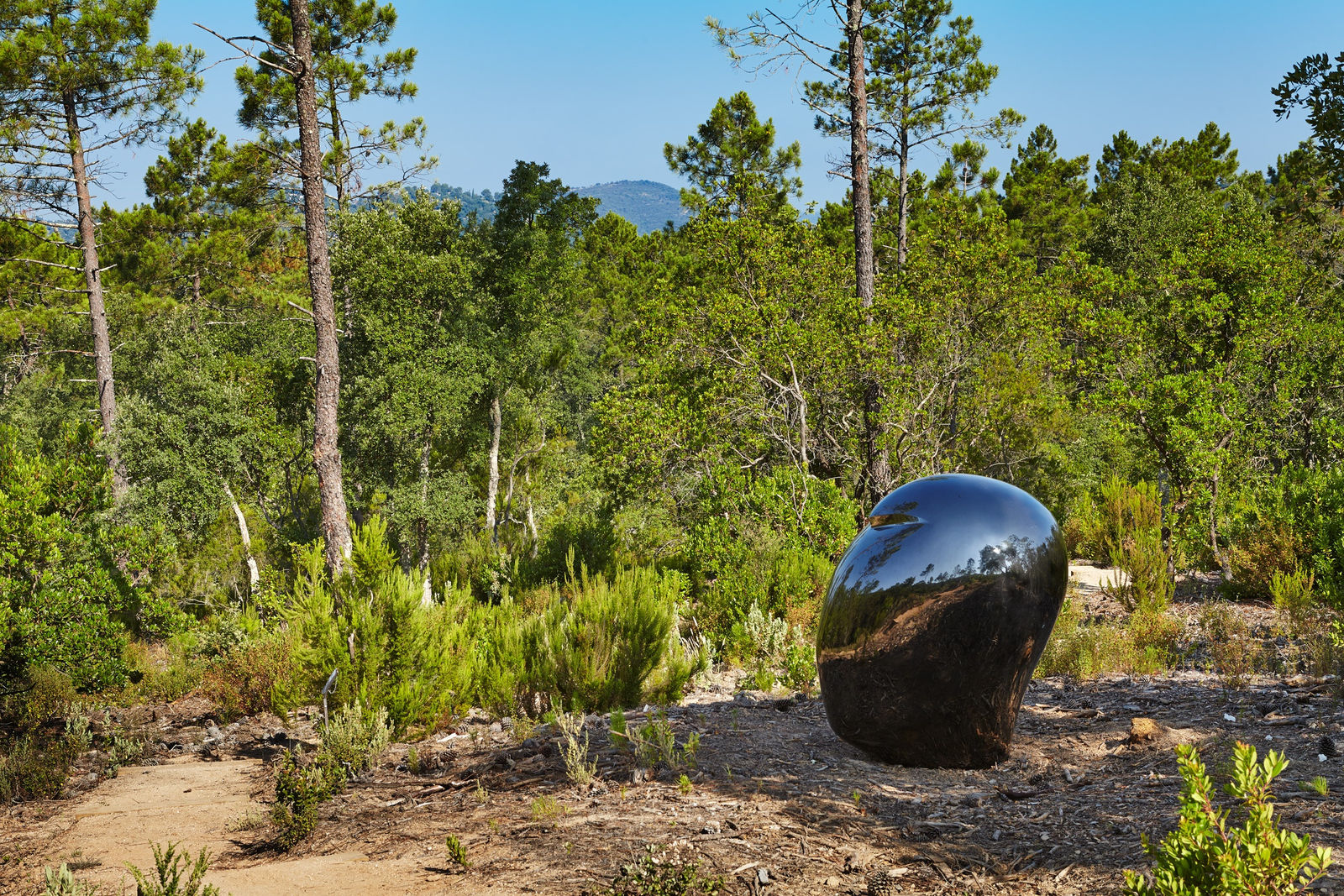 Not Vital, HEAD (Li Gao), 2013