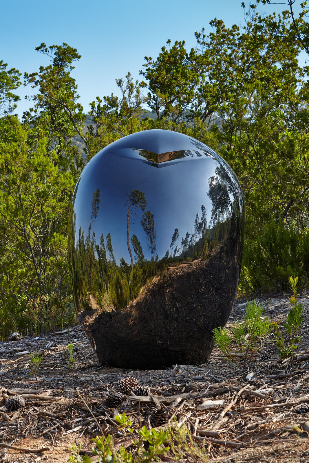 Not Vital, HEAD (Li Gao), 2013