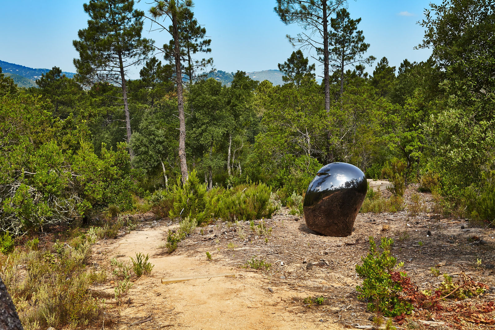 Not Vital, HEAD (Li Gao), 2013