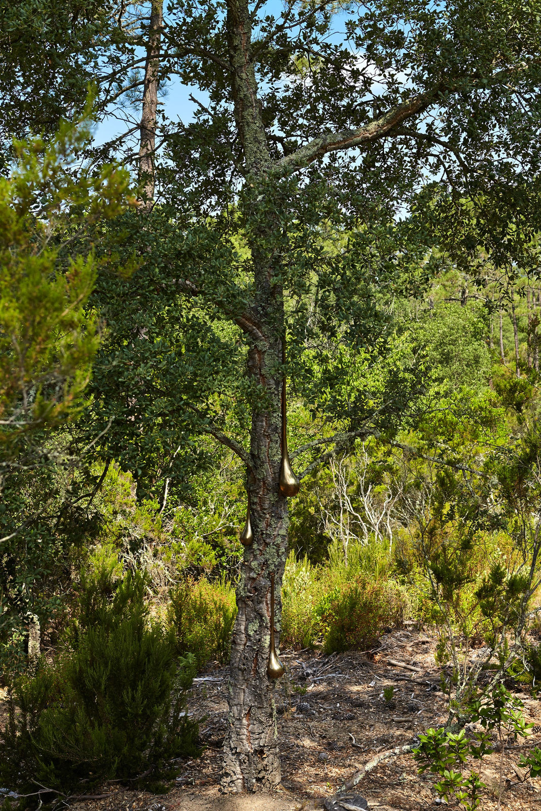 Rob Wynne, 3 Teardrops, 2015