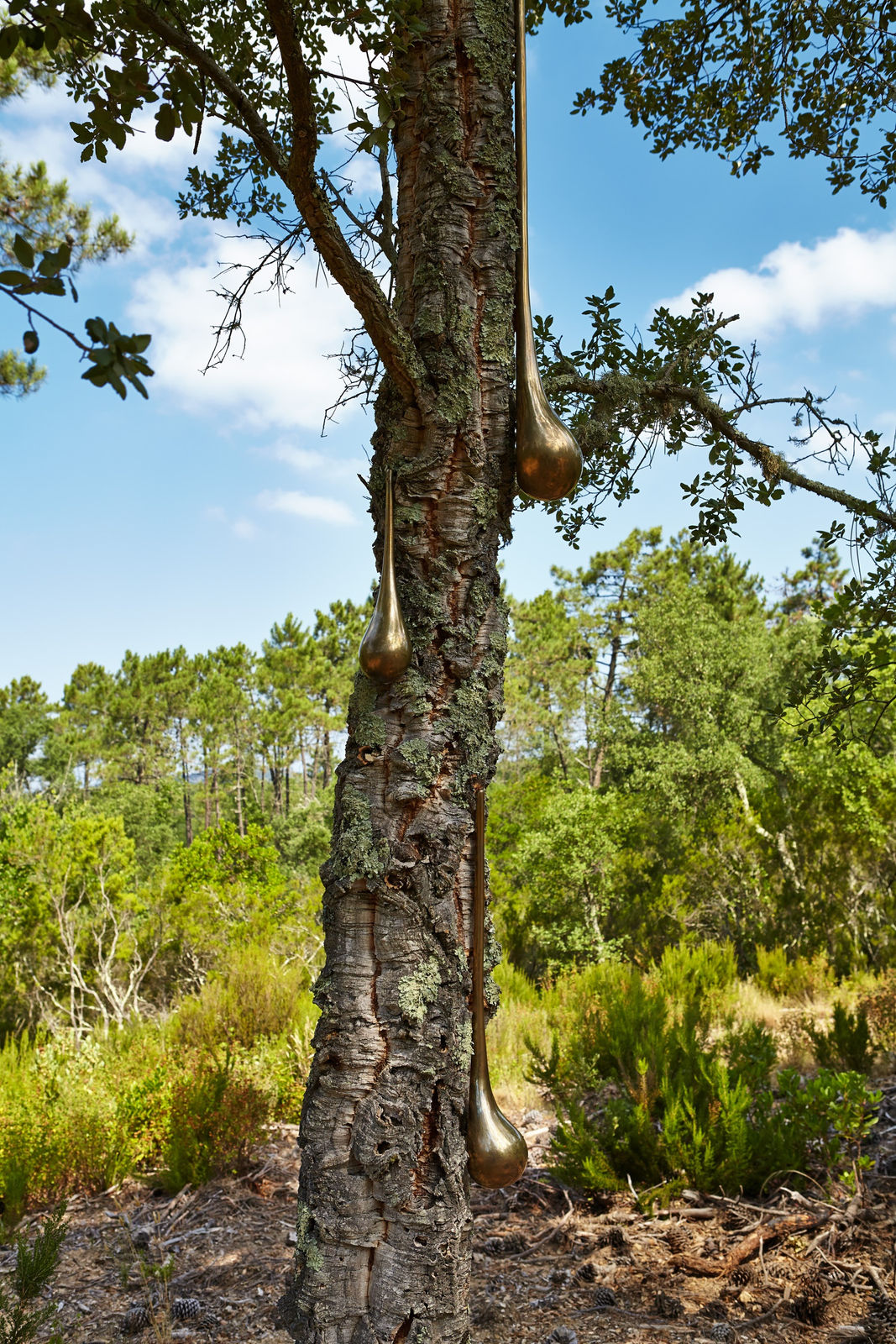 Rob Wynne, 3 Teardrops, 2015