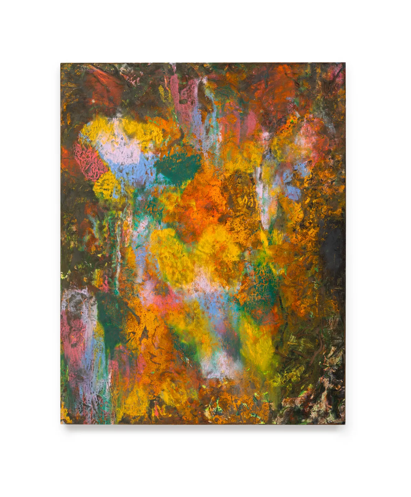 Anna Liber Lewis, the Nymphalidae has ears on its wings, 2024