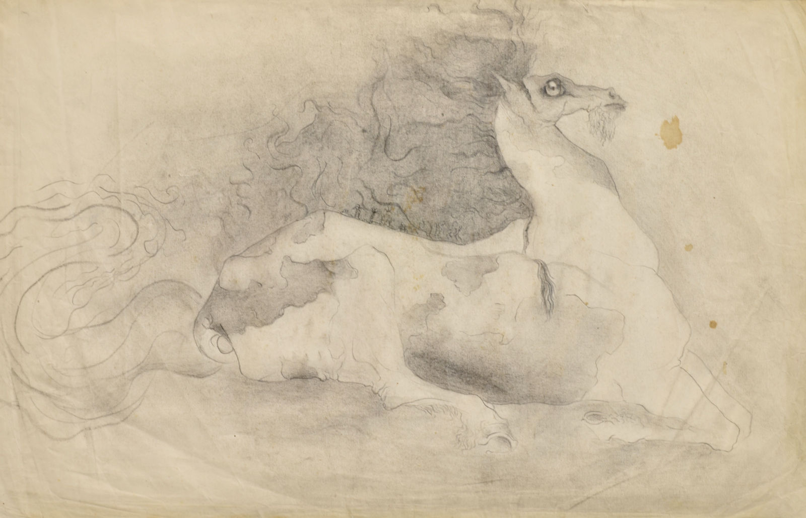 Leonora Carrington, The Horse, 1940