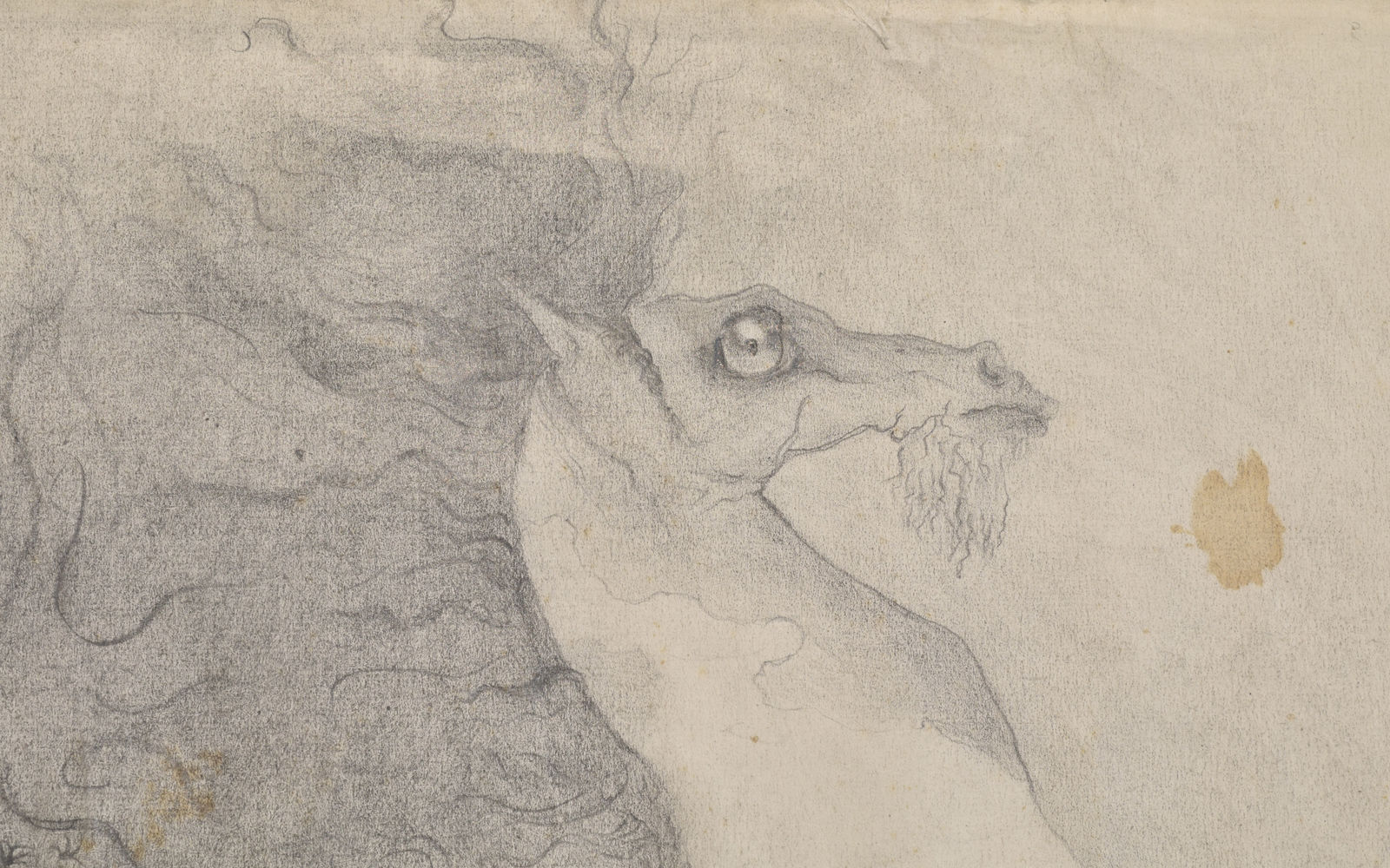 Leonora Carrington, The Horse, 1940