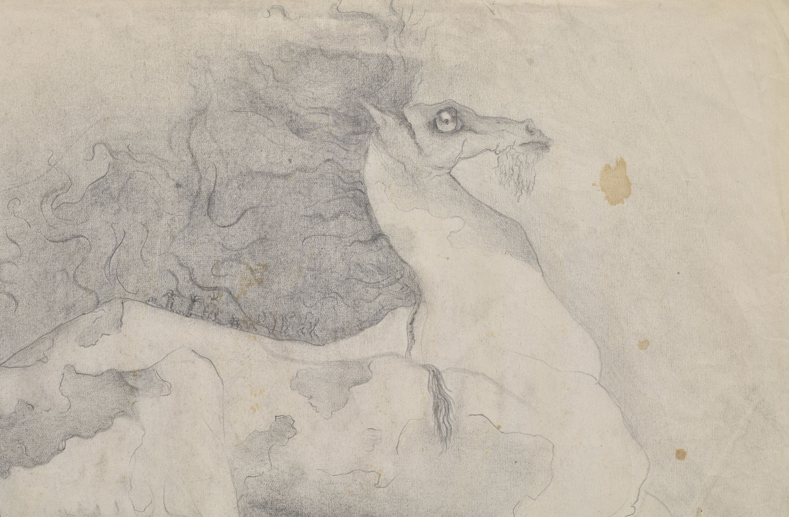Leonora Carrington, The Horse, 1940