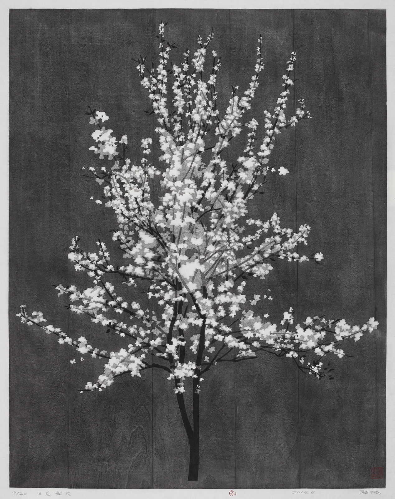 陳琦 CHEN Qi, 又見梨花