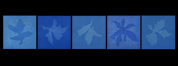 吳東龍 Wu Tunglung, Clarity