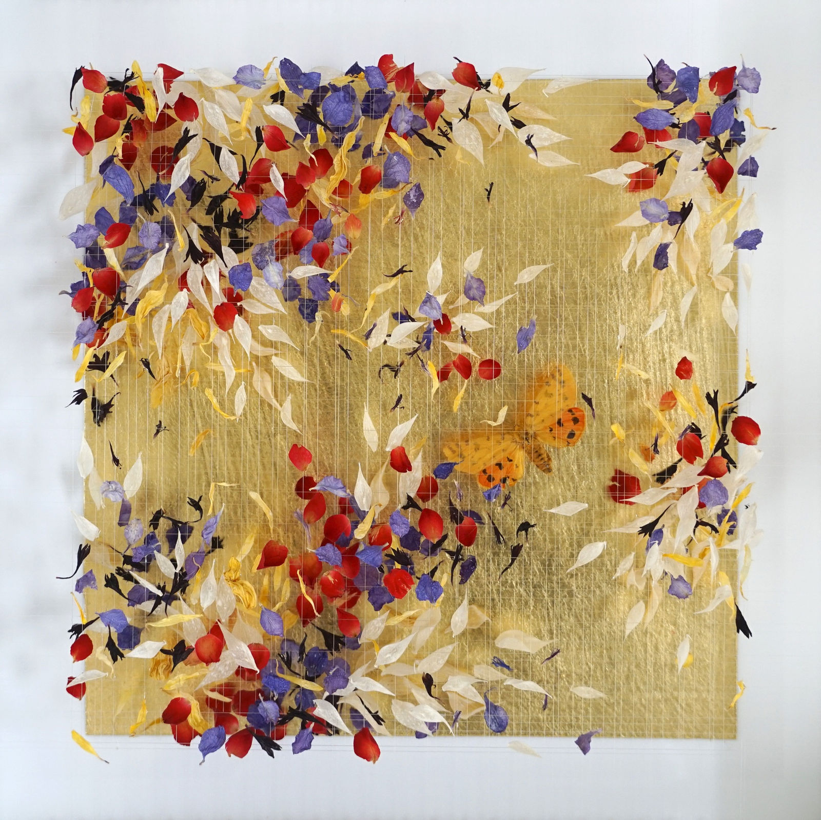 Anna Masters, Disappearing Suns 4