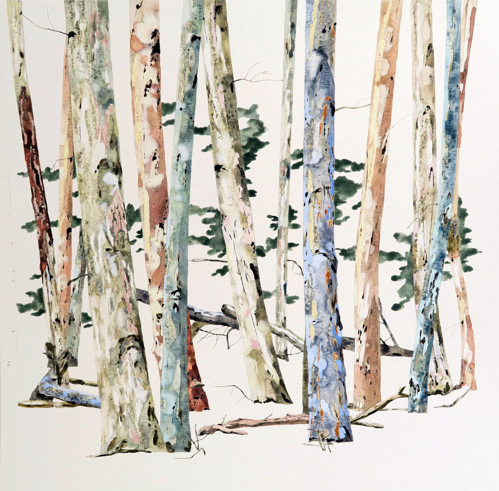 Kate Evans, The Clearing