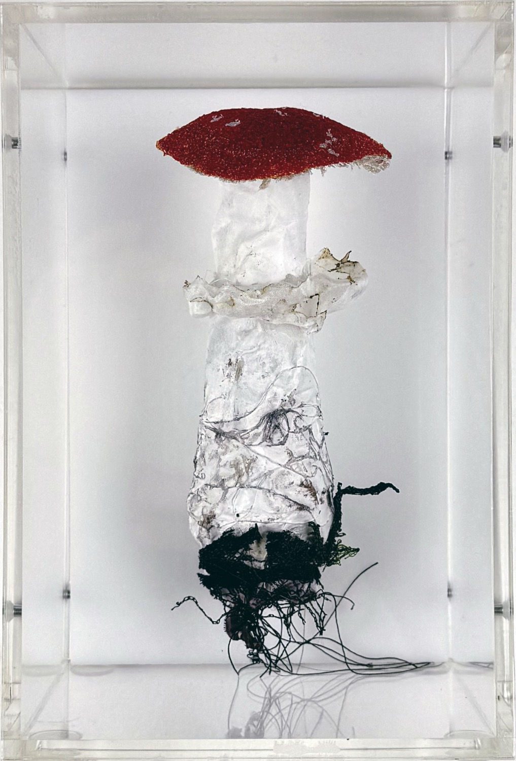 Cathy Brickhill, Amanita Mascaria Fungi #2