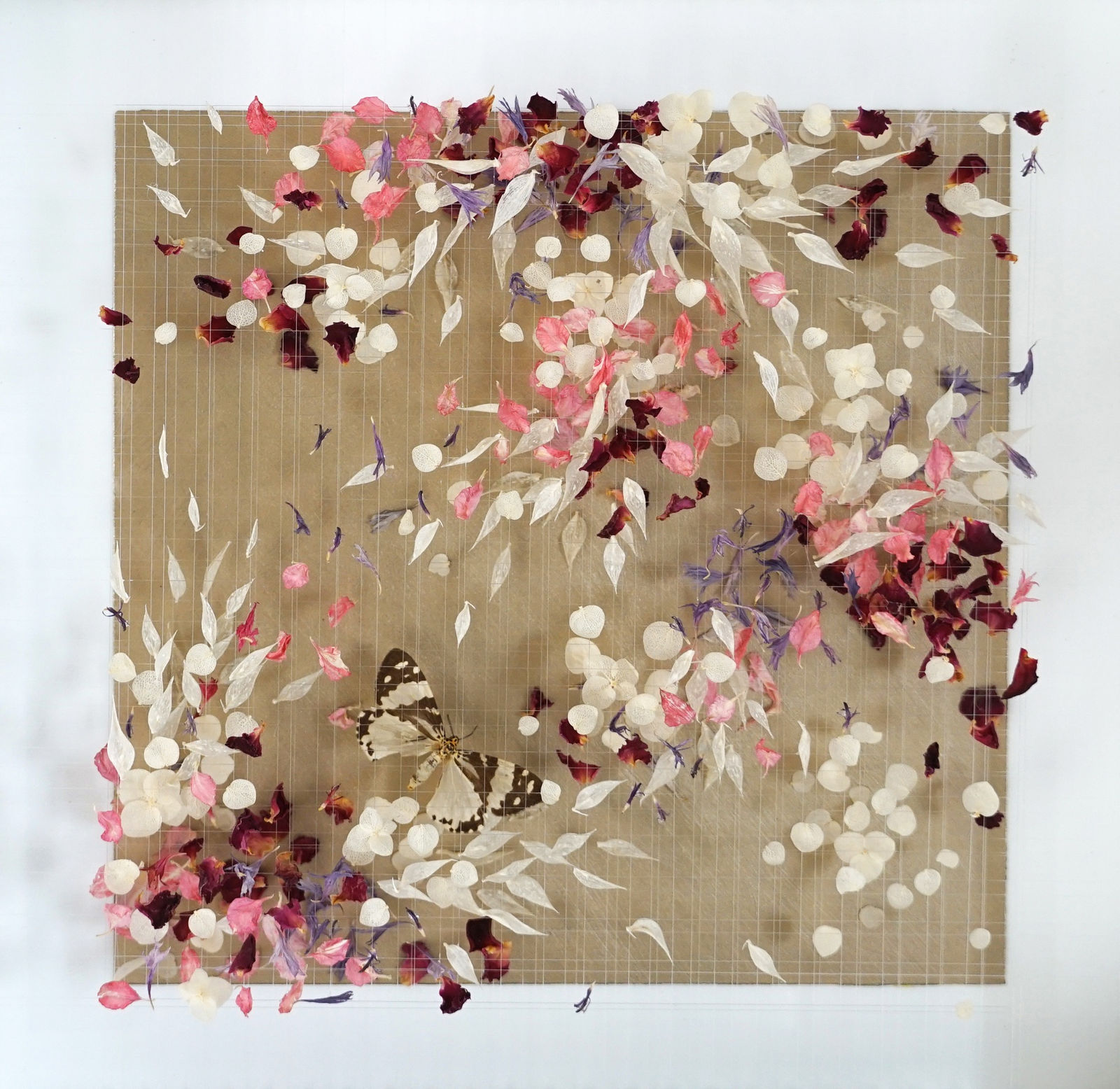 Anna Masters, Disappearing Suns 3