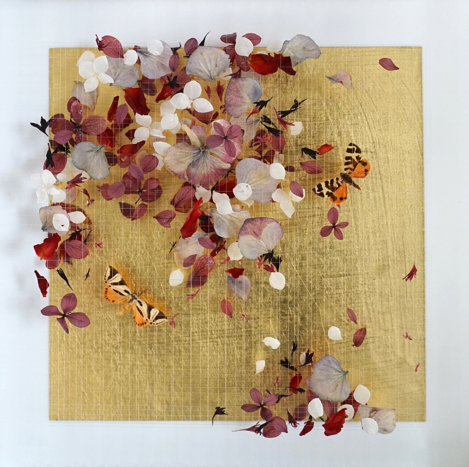 Anna Masters, Disappearing Suns 10