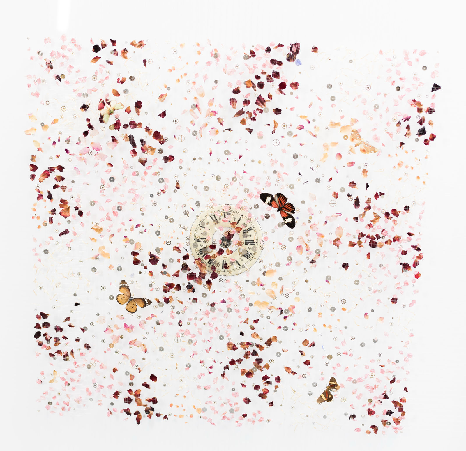 Anna Masters, Summertime