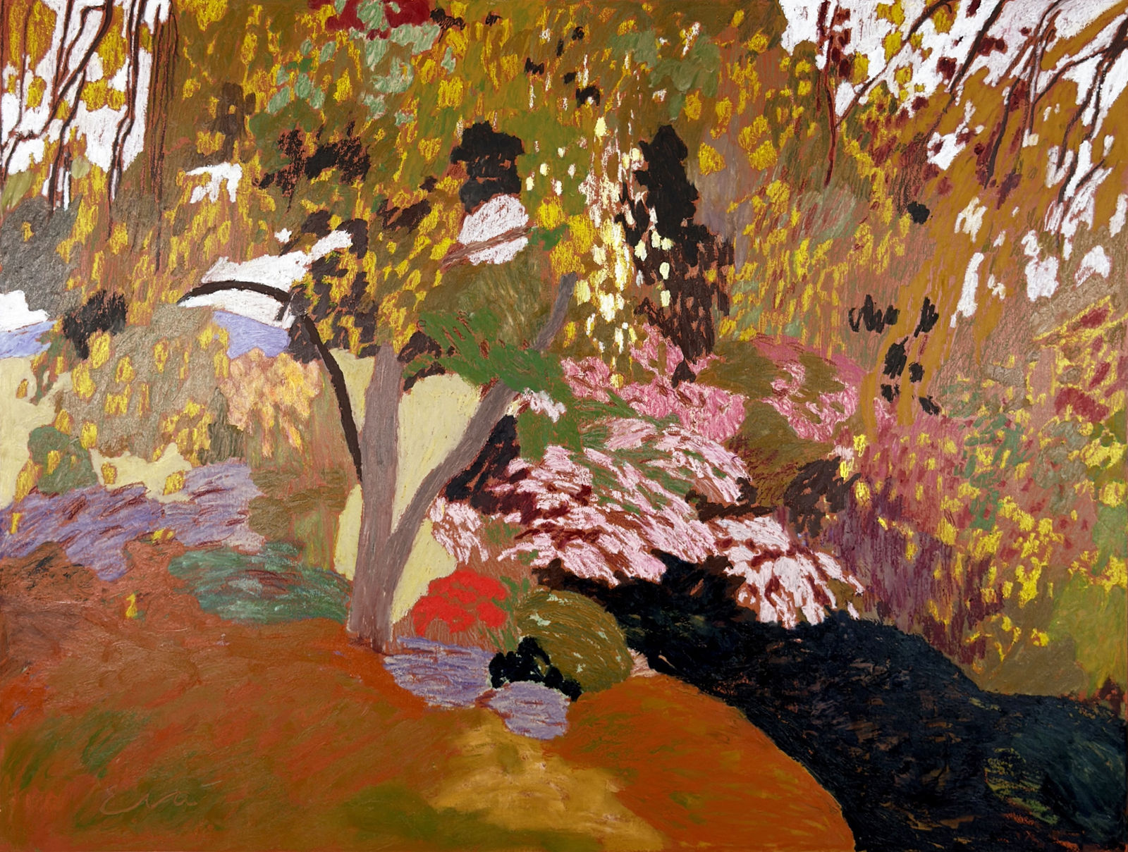 Eva Ray, Autumn Birch