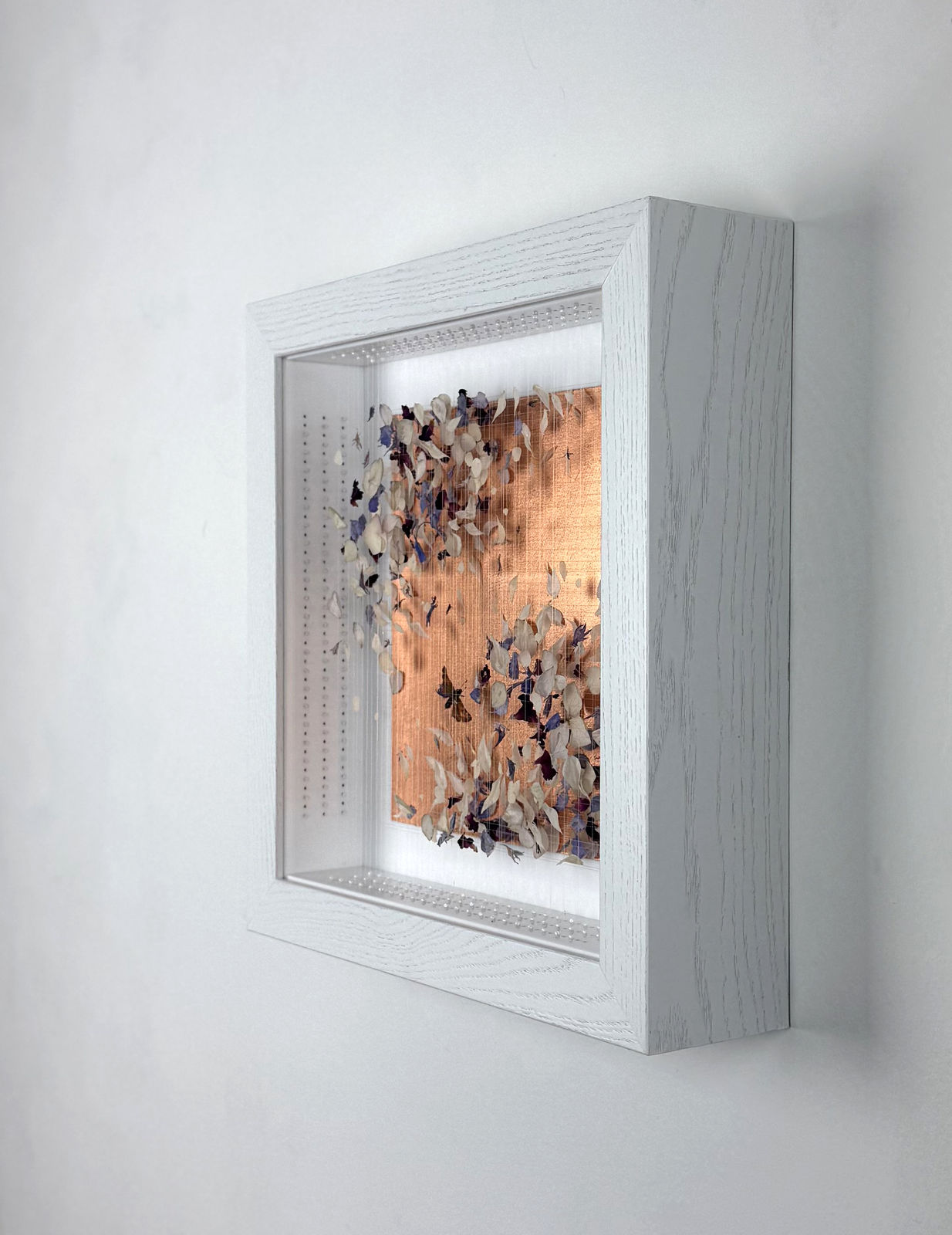 Anna Masters, Disappearing Suns 2