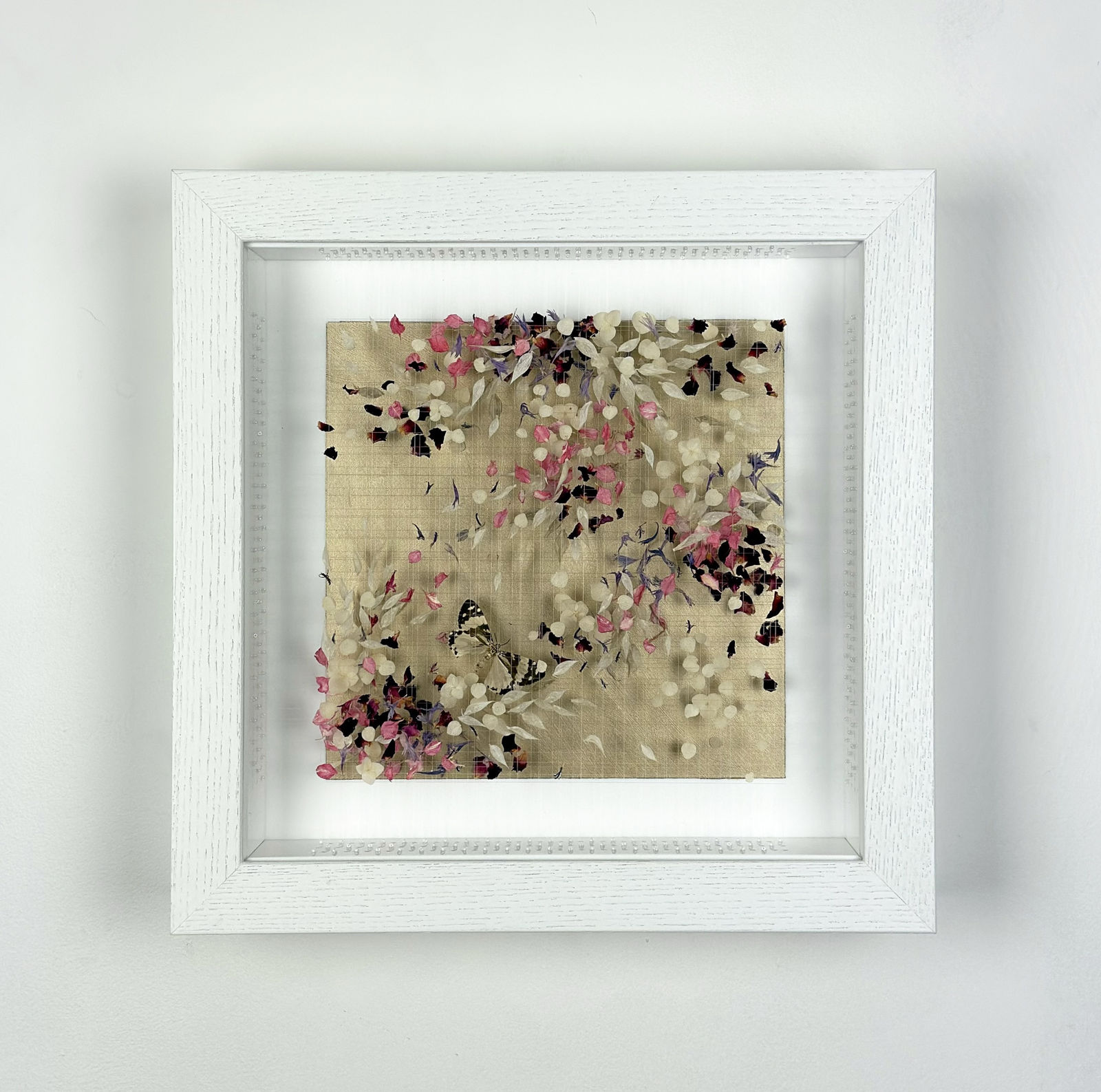 Anna Masters, Disappearing Suns 3