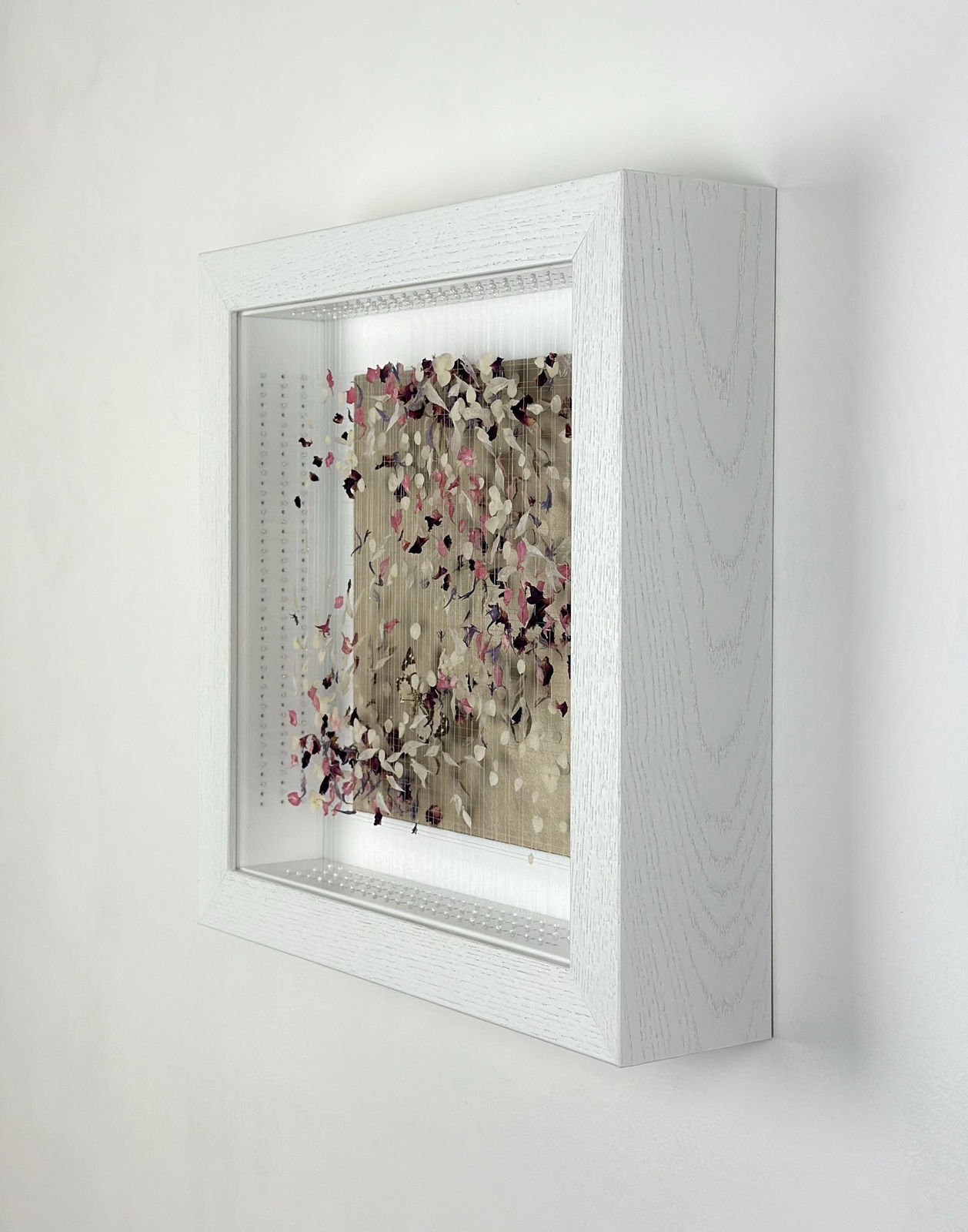 Anna Masters, Disappearing Suns 3