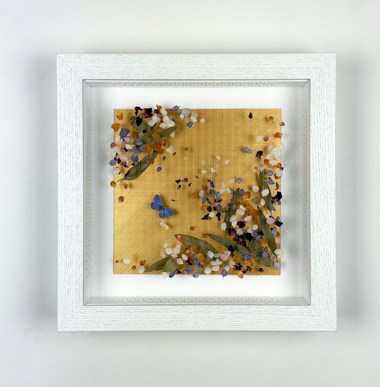 Anna Masters, Disappearing Suns 7