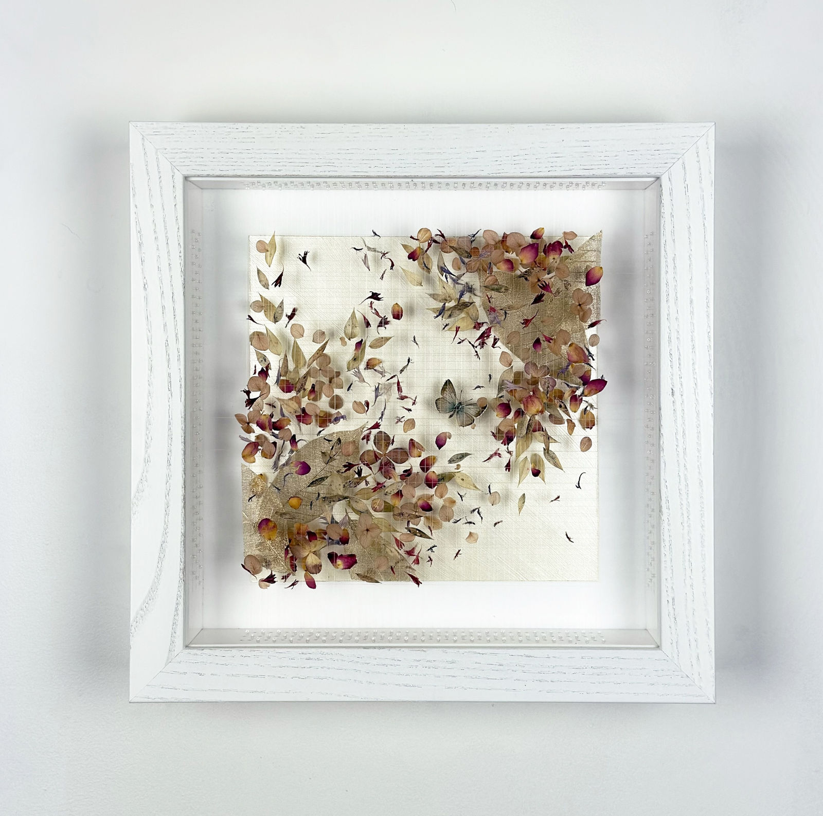 Anna Masters, Disappearing Suns 8