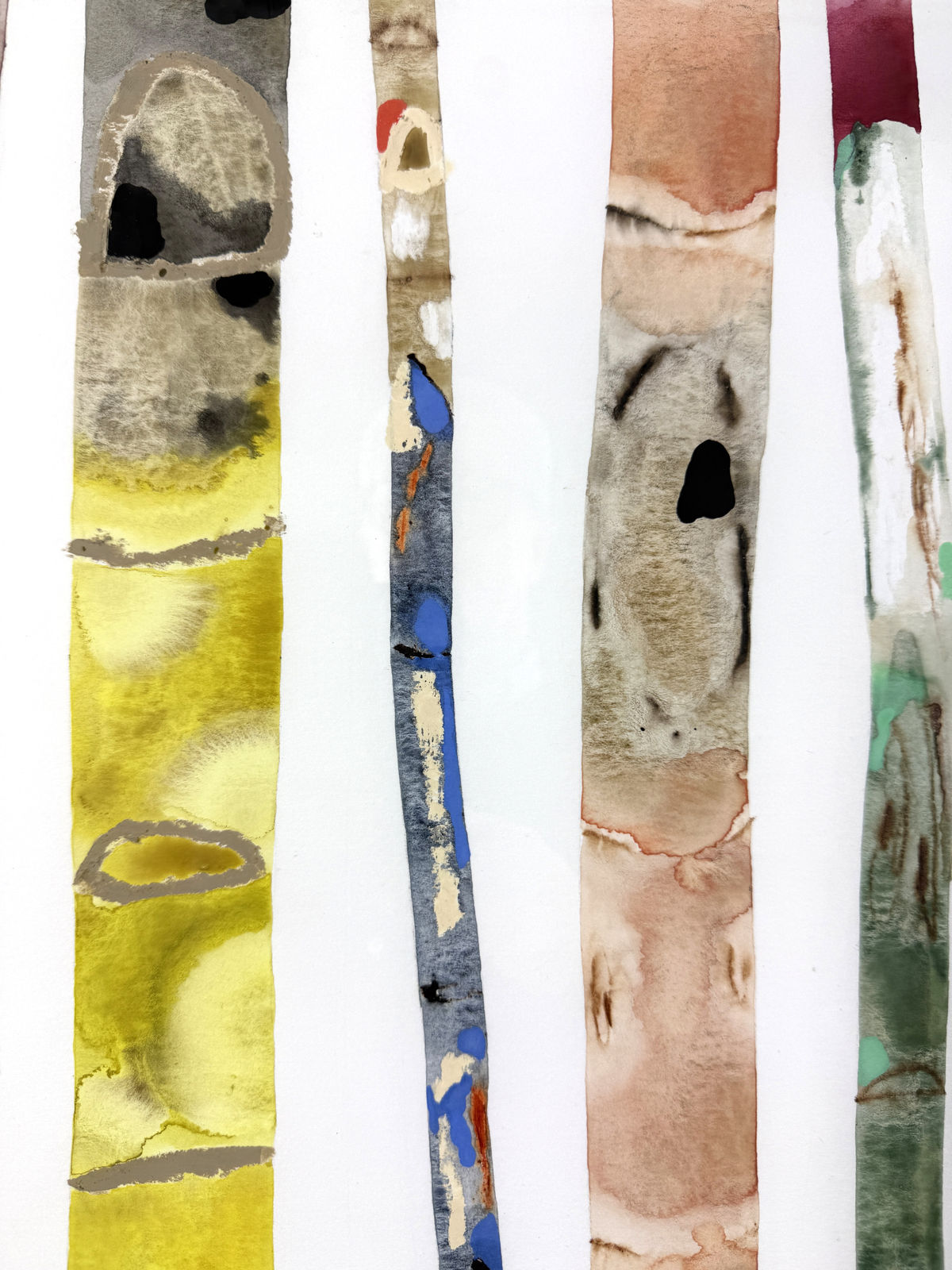 Kate Evans, Chromaticity