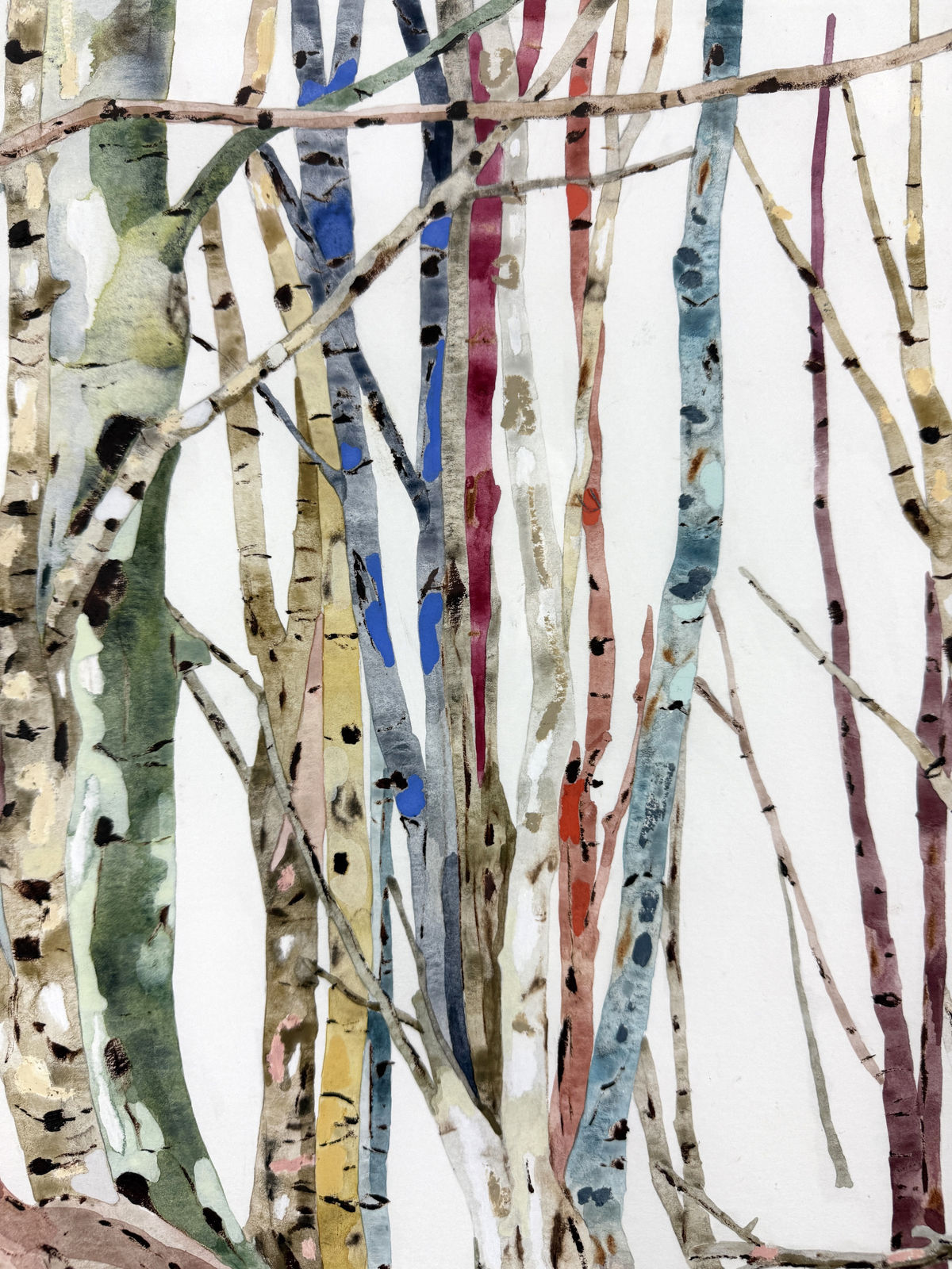 Kate Evans, Entangled