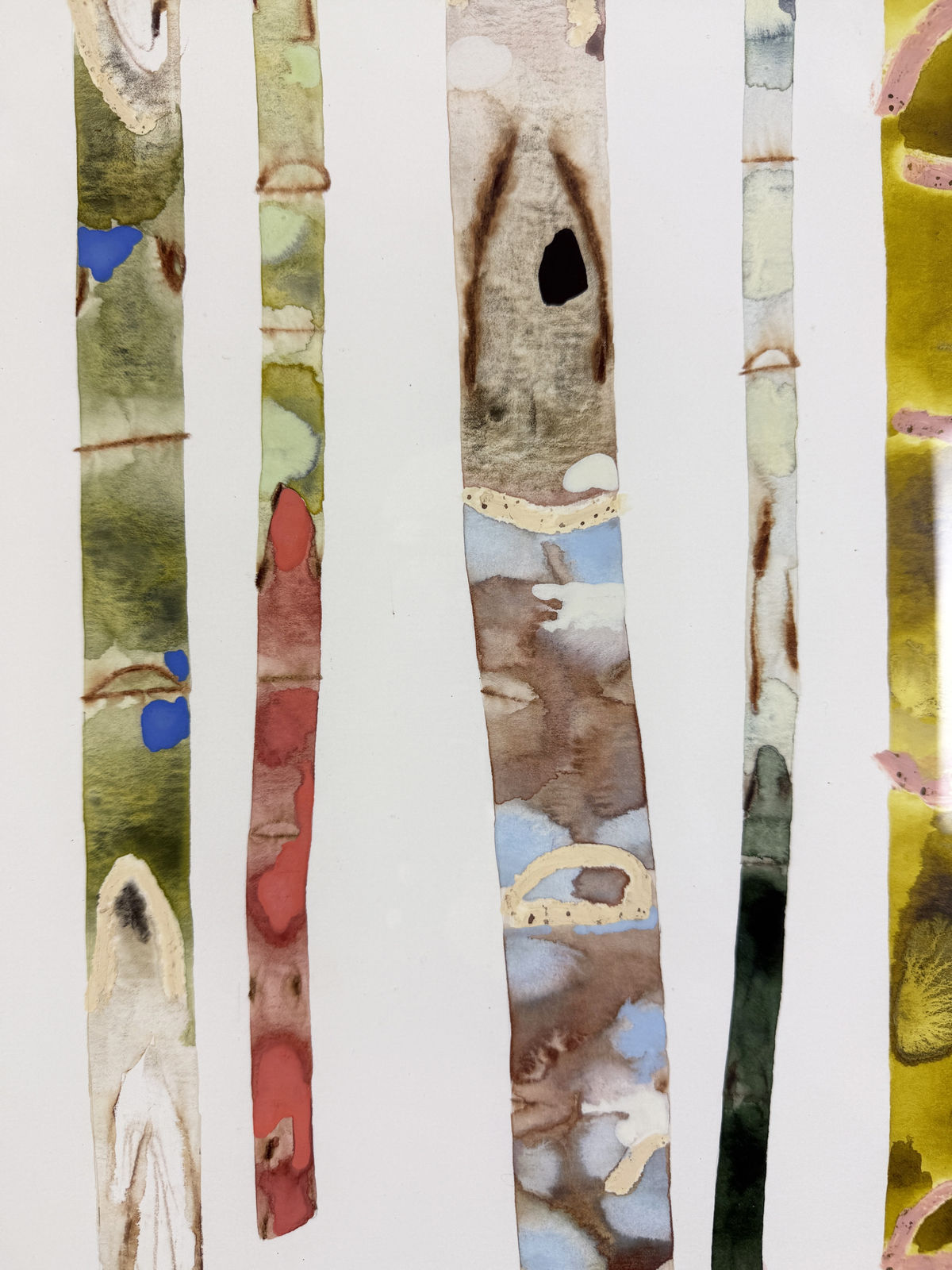 Kate Evans, Kaleidoscope Birch