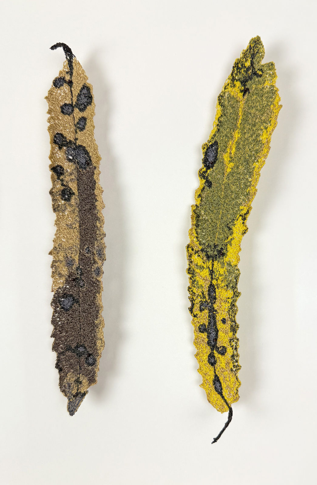 Cathy Brickhill, NZ Rewarewa Leaves