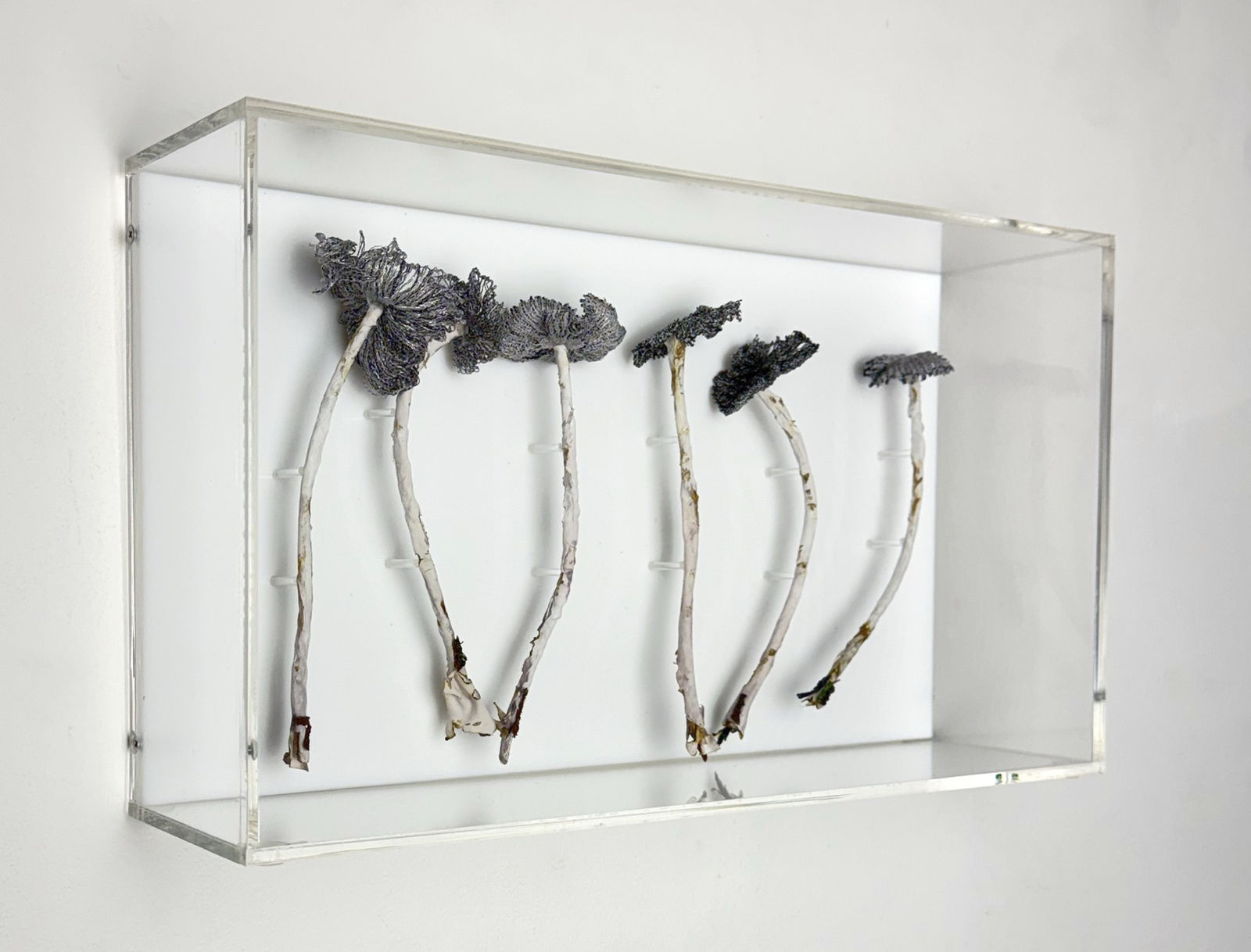 Cathy Brickhill, Inkcap Fungi Sculpture #3