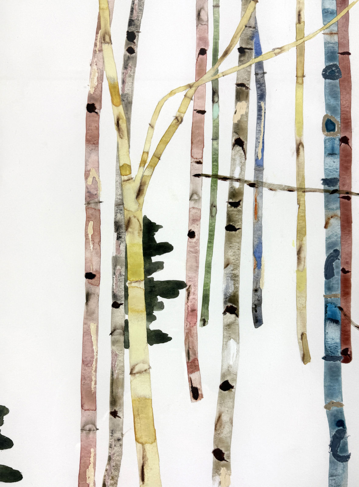 Kate Evans, Nordic Wood