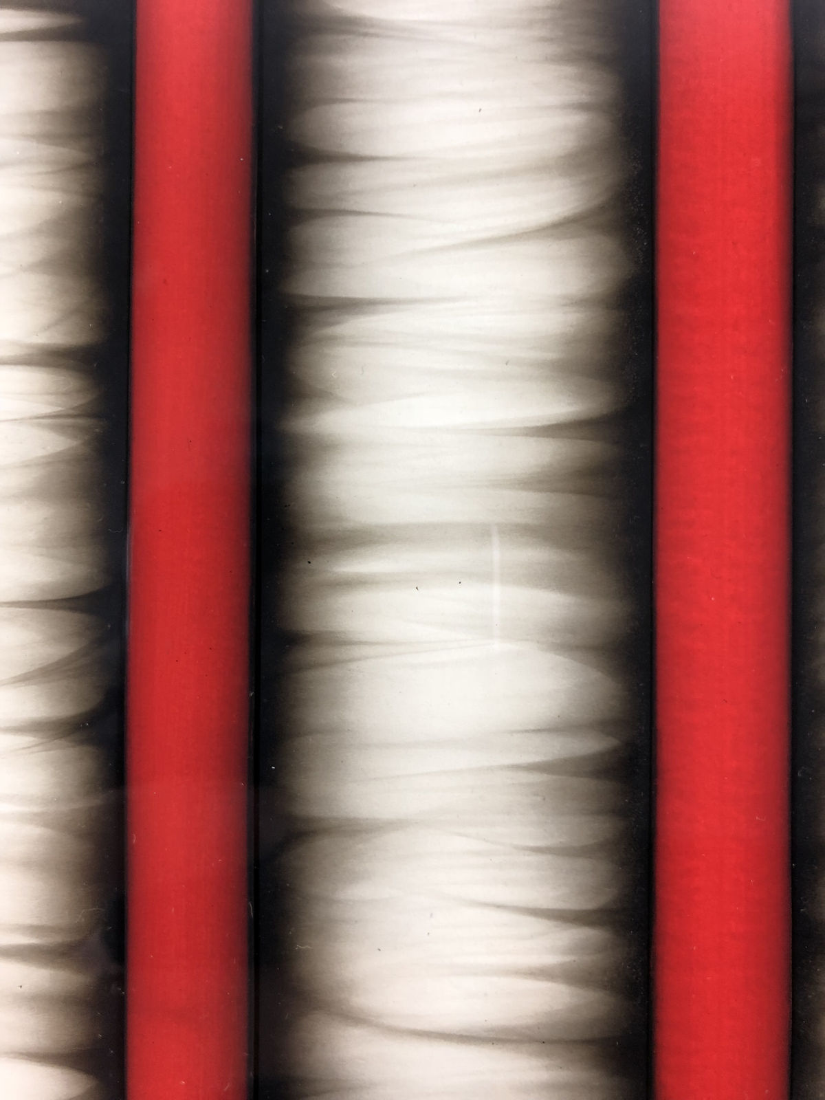 Rachael Nee, Interference