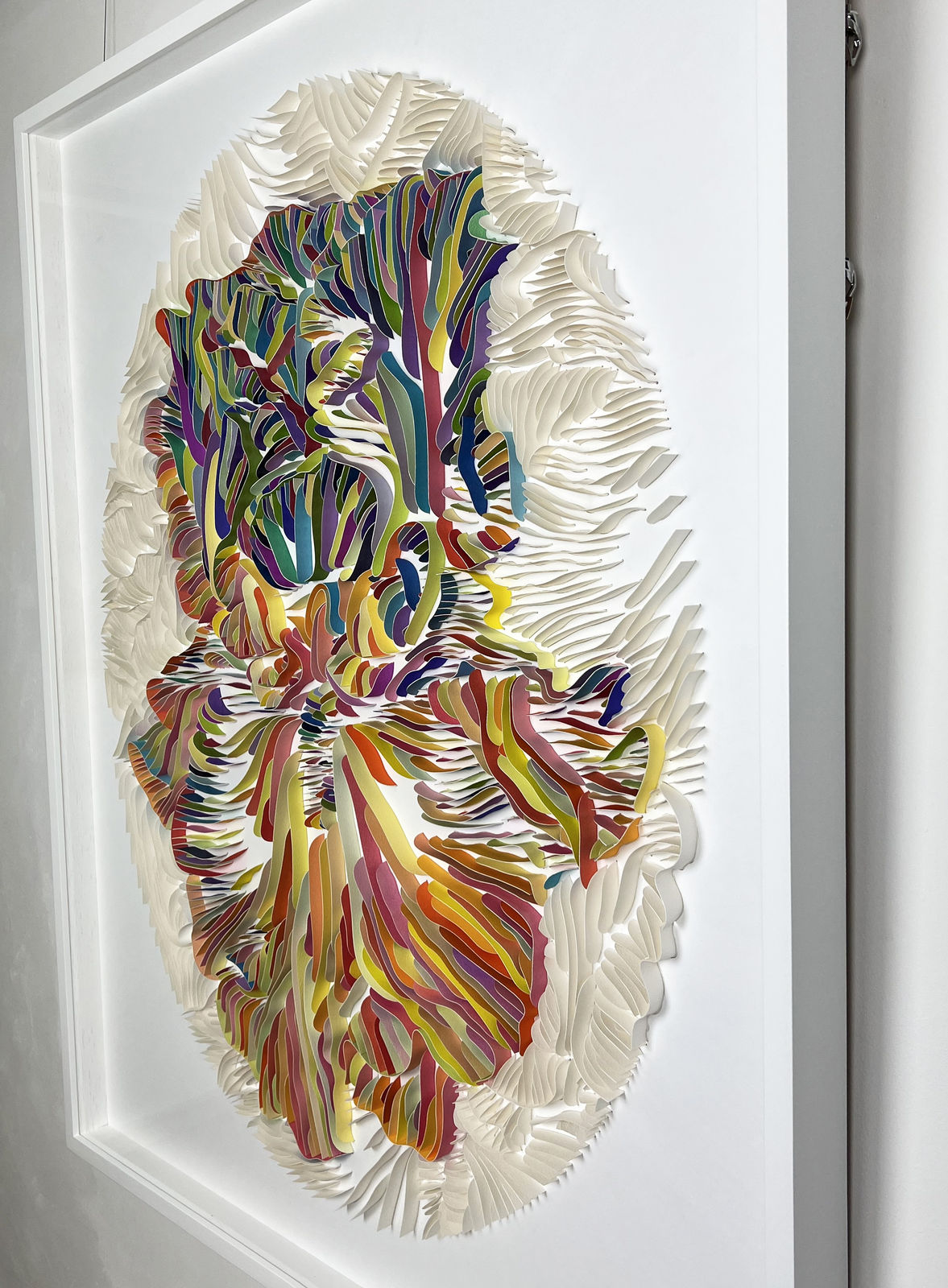 Peter Monaghan, Oval Iris