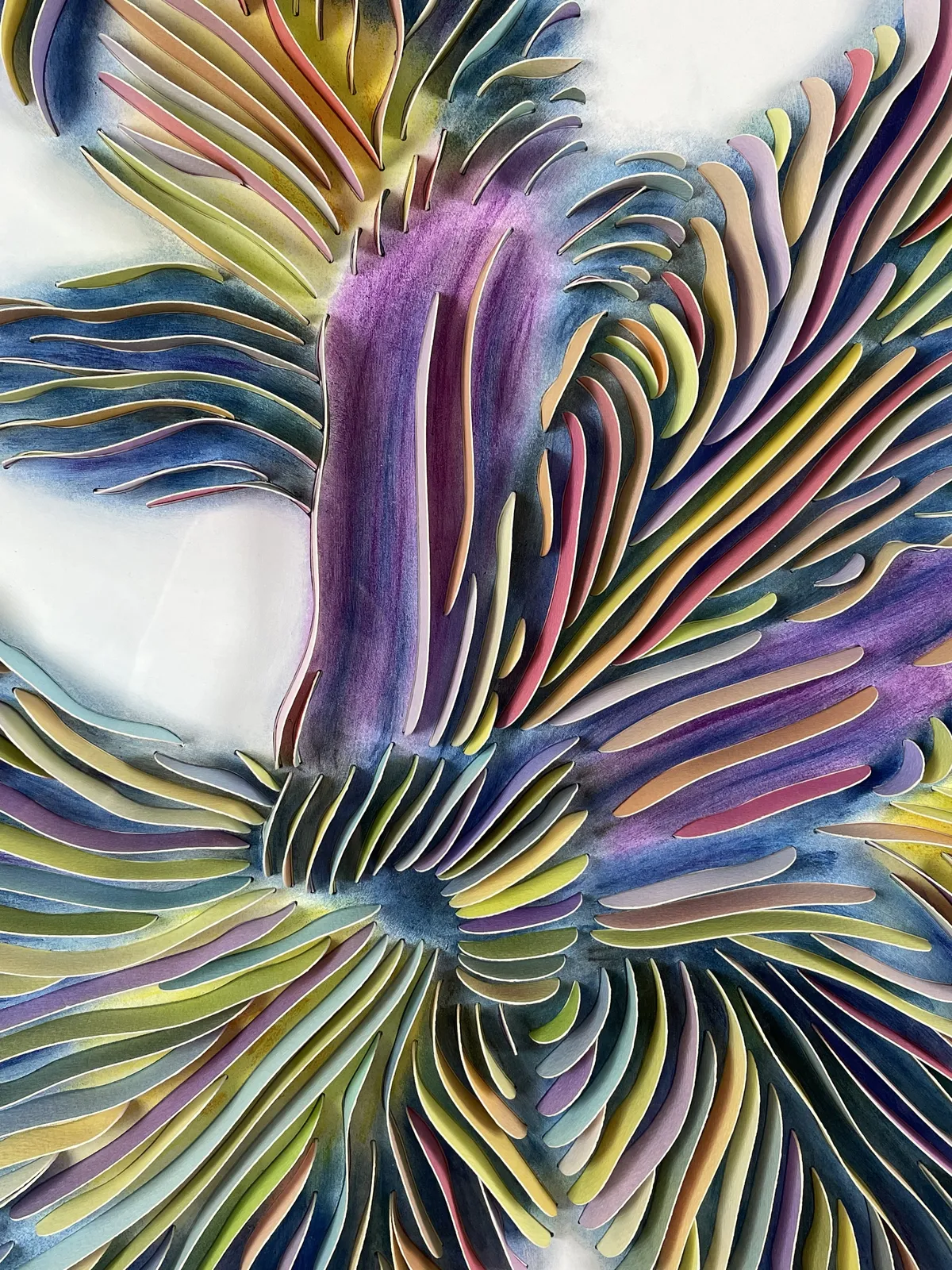 Peter Monaghan, Iris Colour