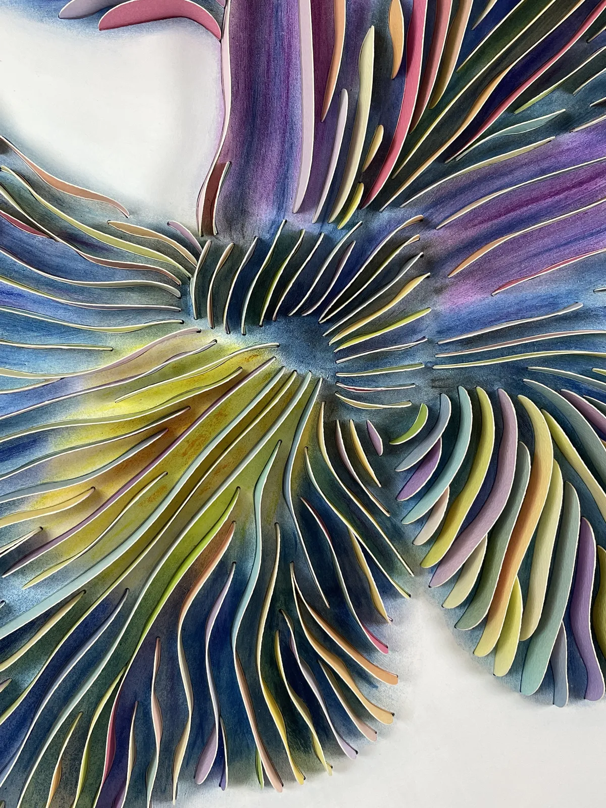 Peter Monaghan, Iris Colour