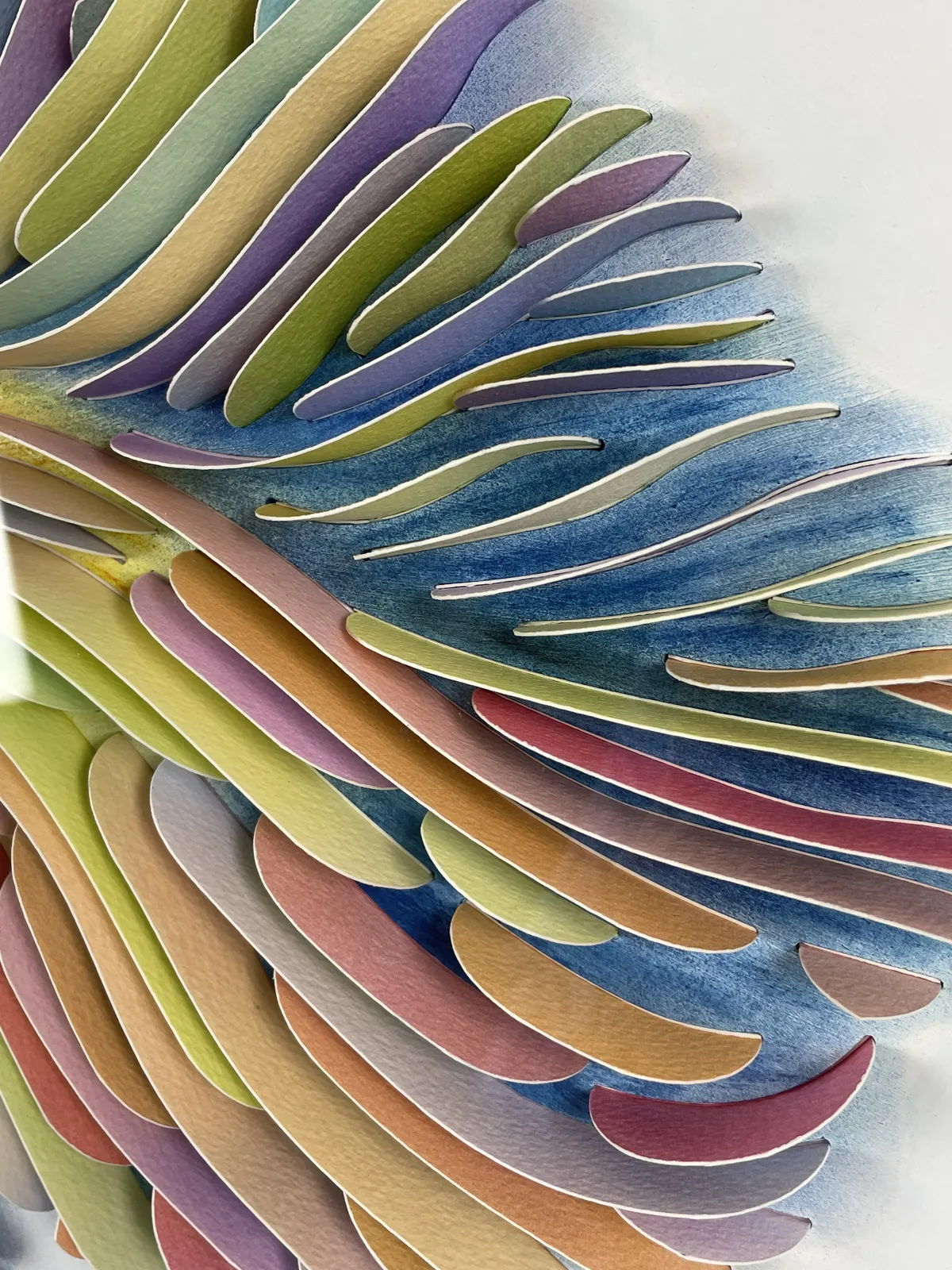 Peter Monaghan, Iris Colour