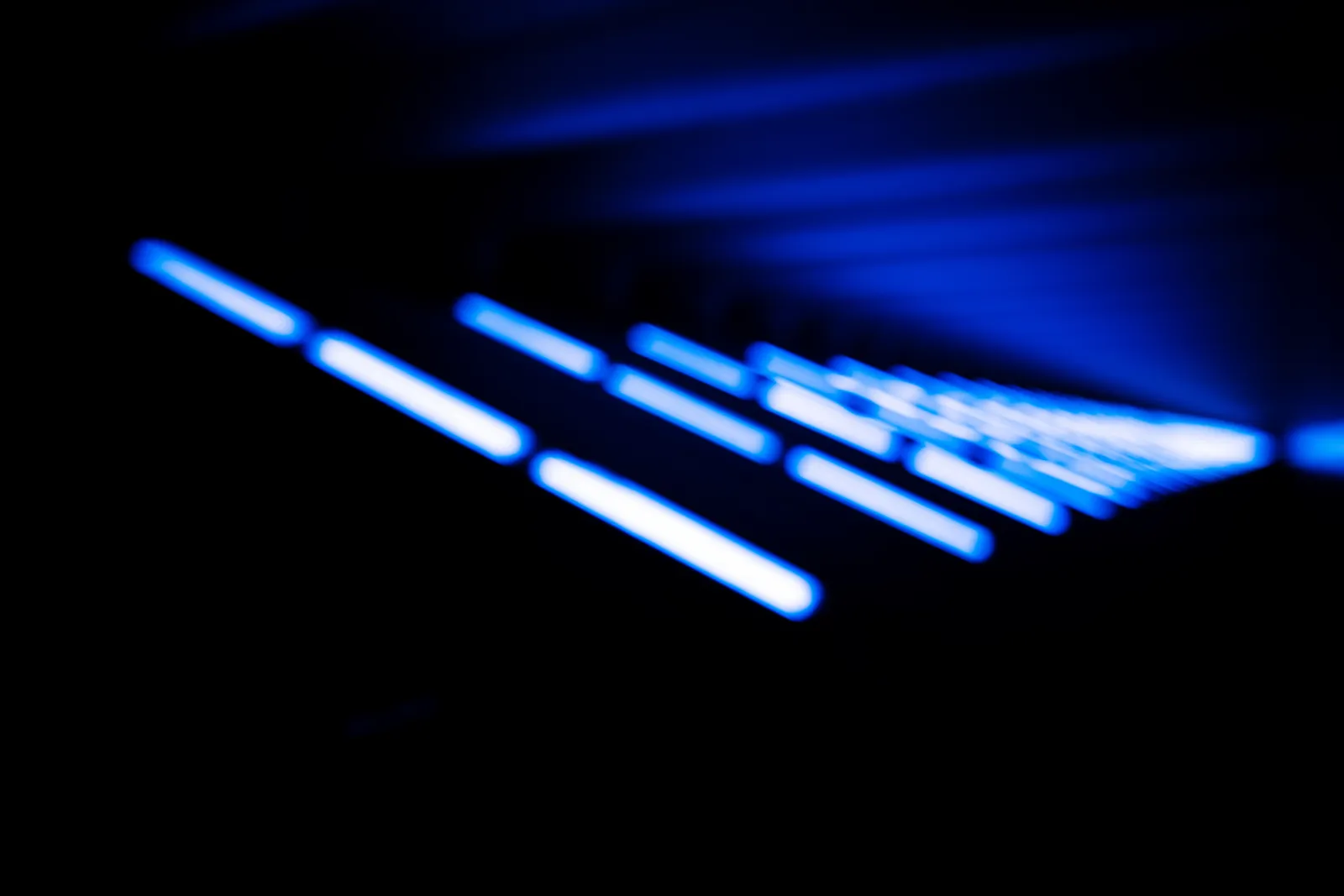 Mischa Fanghaenel, THE FAN, 2022