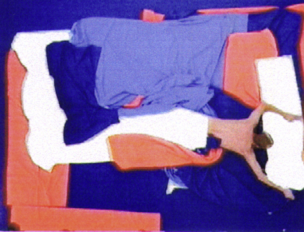 Heimo Zobernig, Video Nr. 18, 2000