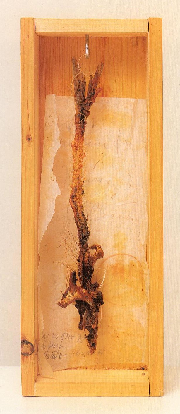 Joseph Beuys, Friday Object '1st-Class Fried Fish Bones (Herring)' (Freitagsobjekt '1a gebratene Fischgräte [Hering]'), 1970