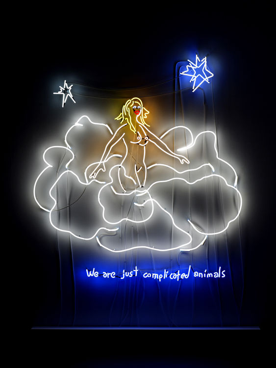 Dan Attoe, Complicated Animals, 2008