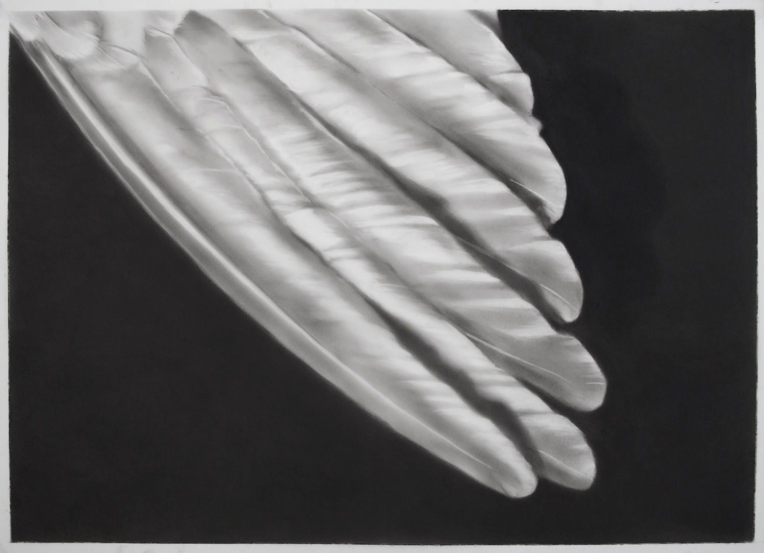 Robert Longo, Study for Wing Tip, 2012