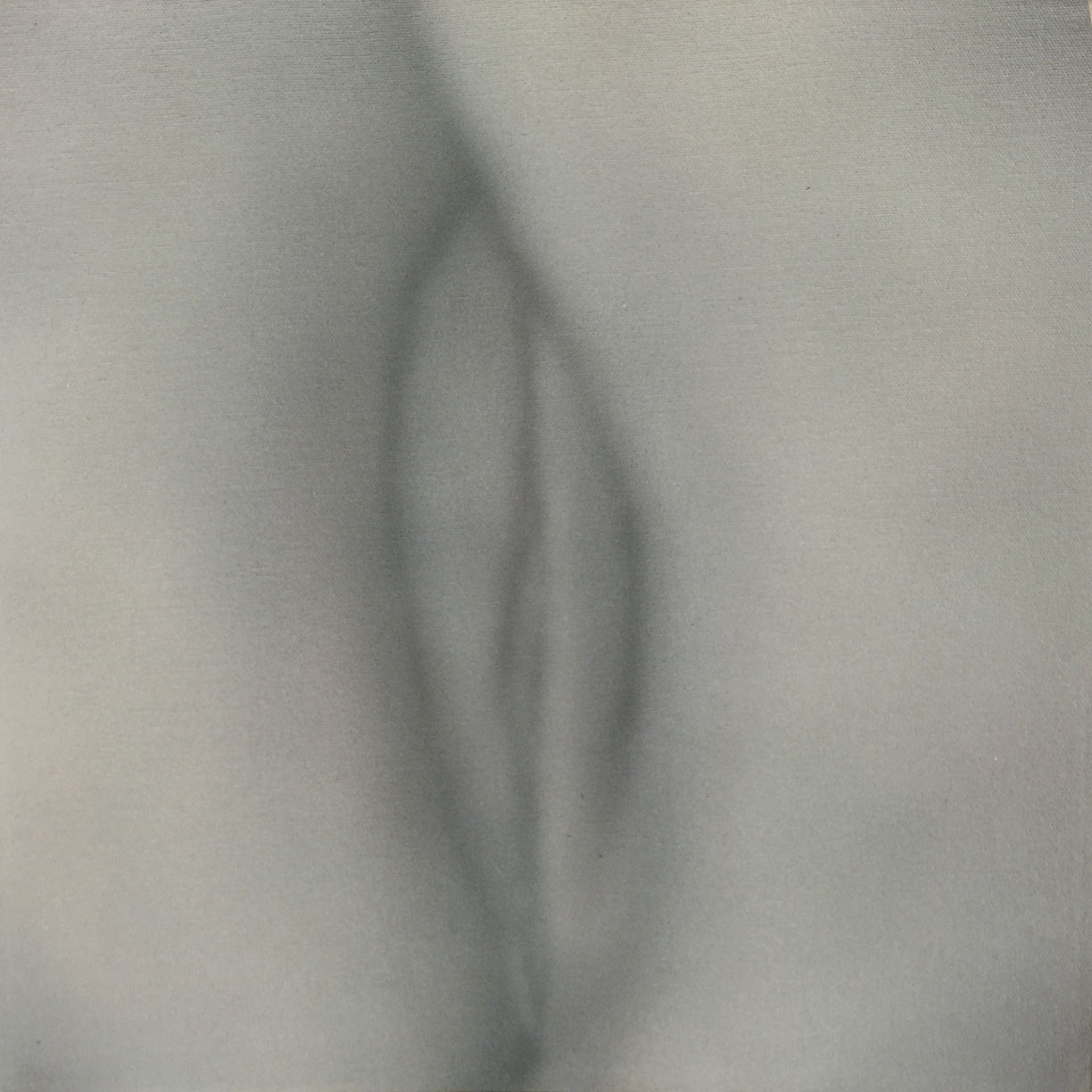 Betty Tompkins, Pussy Painting #3 (Red), 2011