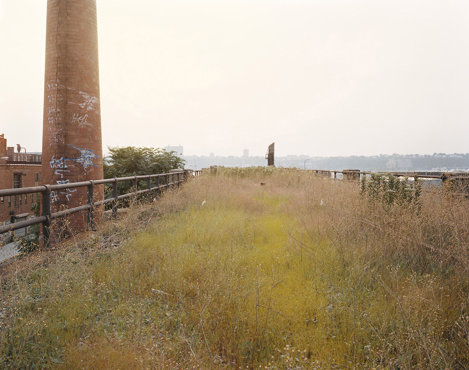 Joel Sternfeld, Looking West on 30th Street on a September Evening, 2000, 2000