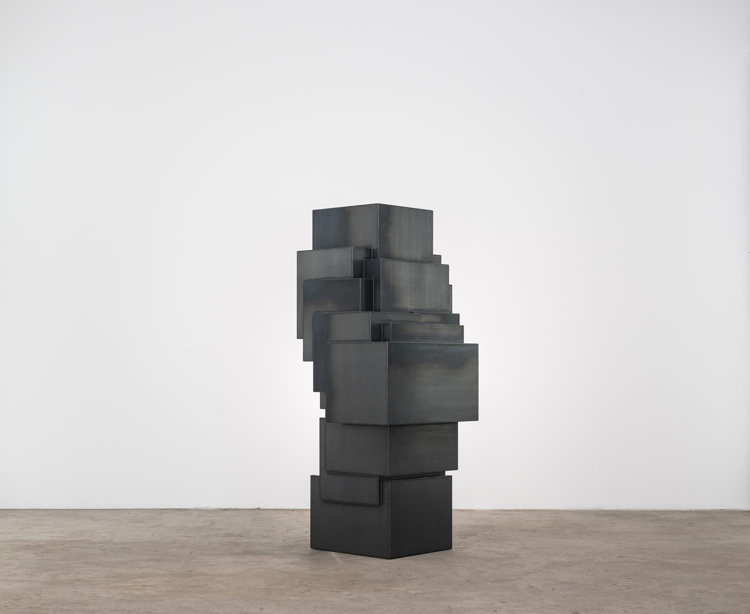 Antony Gormley, EXPANSION FIELD 55/60, 2014