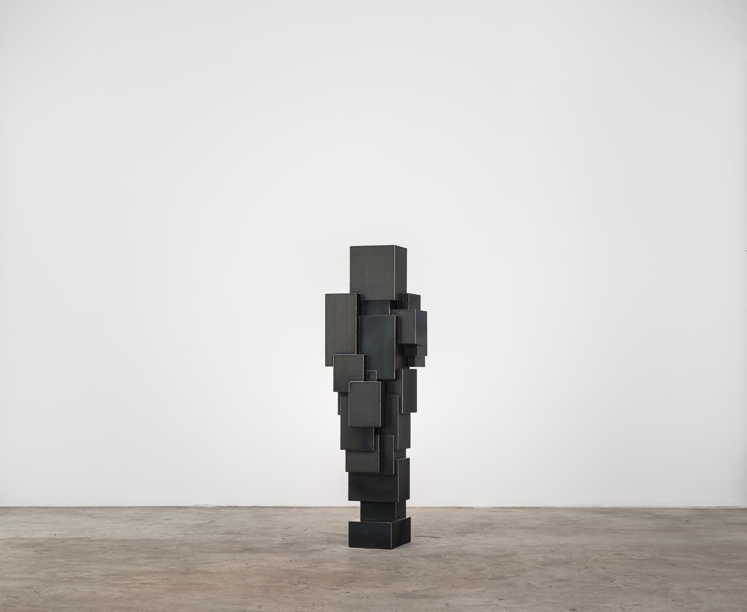 Antony Gormley, EXPANSION FIELD 41/60, 2014