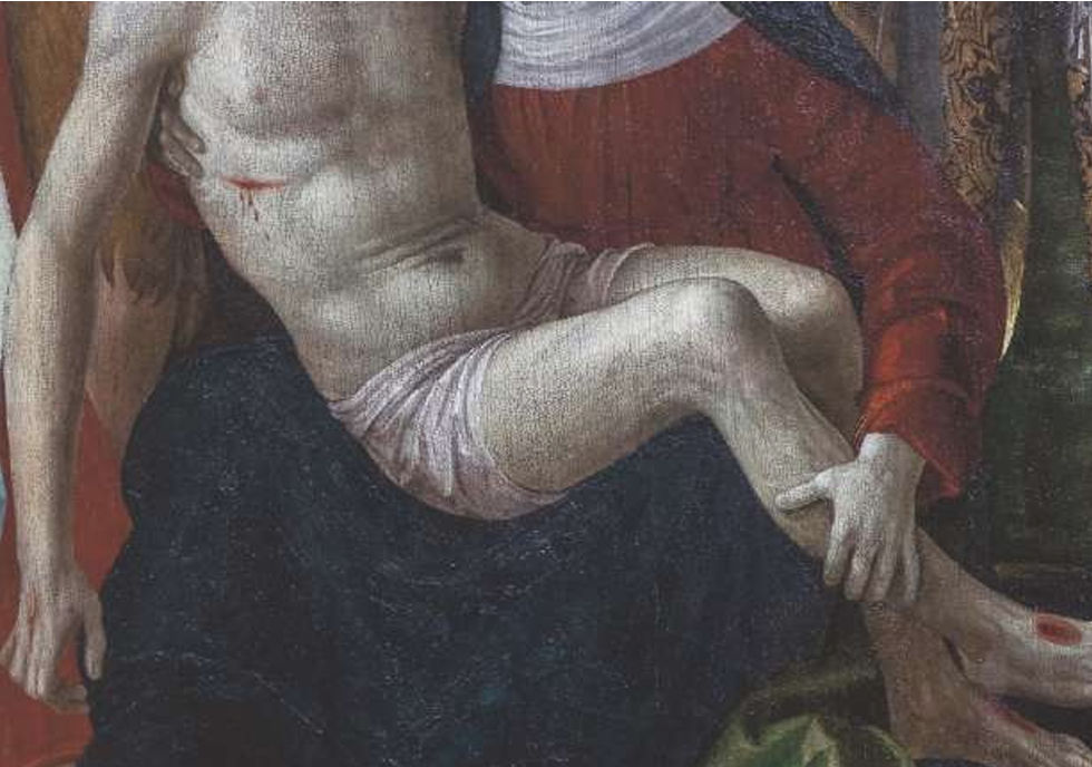 Jacqueline Salmon, Le point aveugle, Bernardino Zenale, 2017/2022