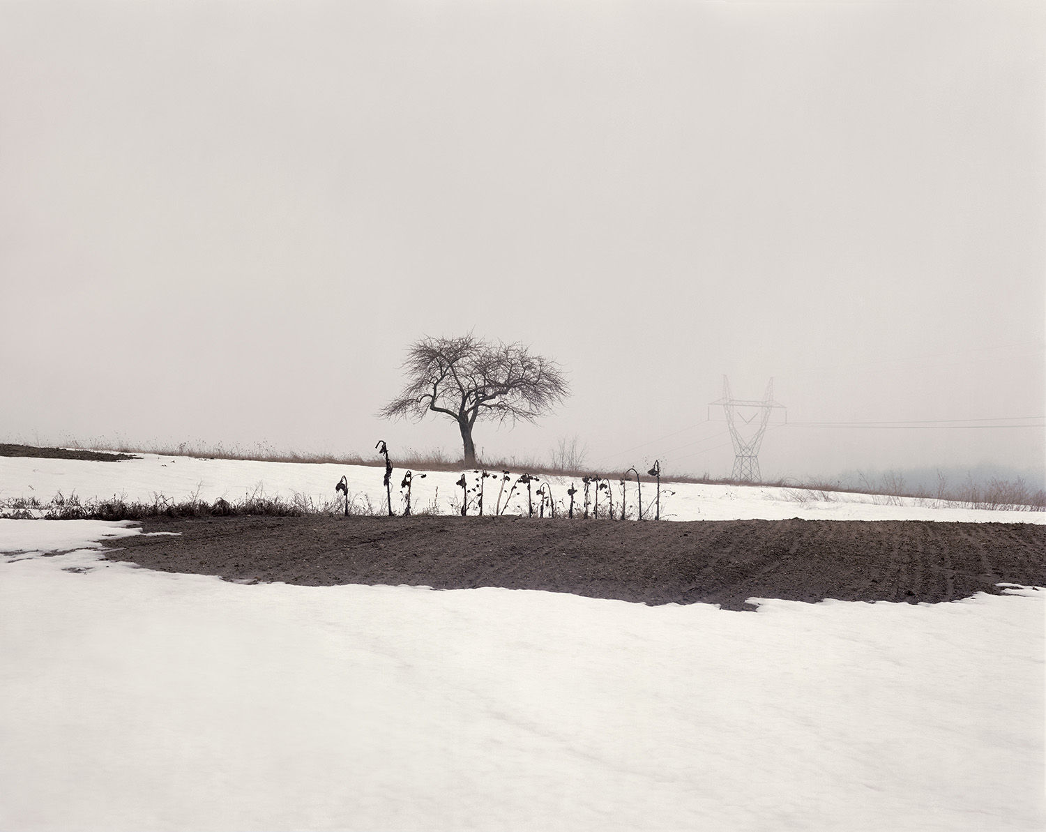 Joel Sternfeld, Near Interlochen, Michigan, February 1981, 1981