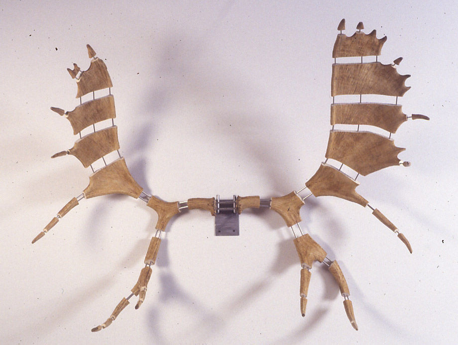 Michael Joo, Improved Rack #4 (Moose), 2004