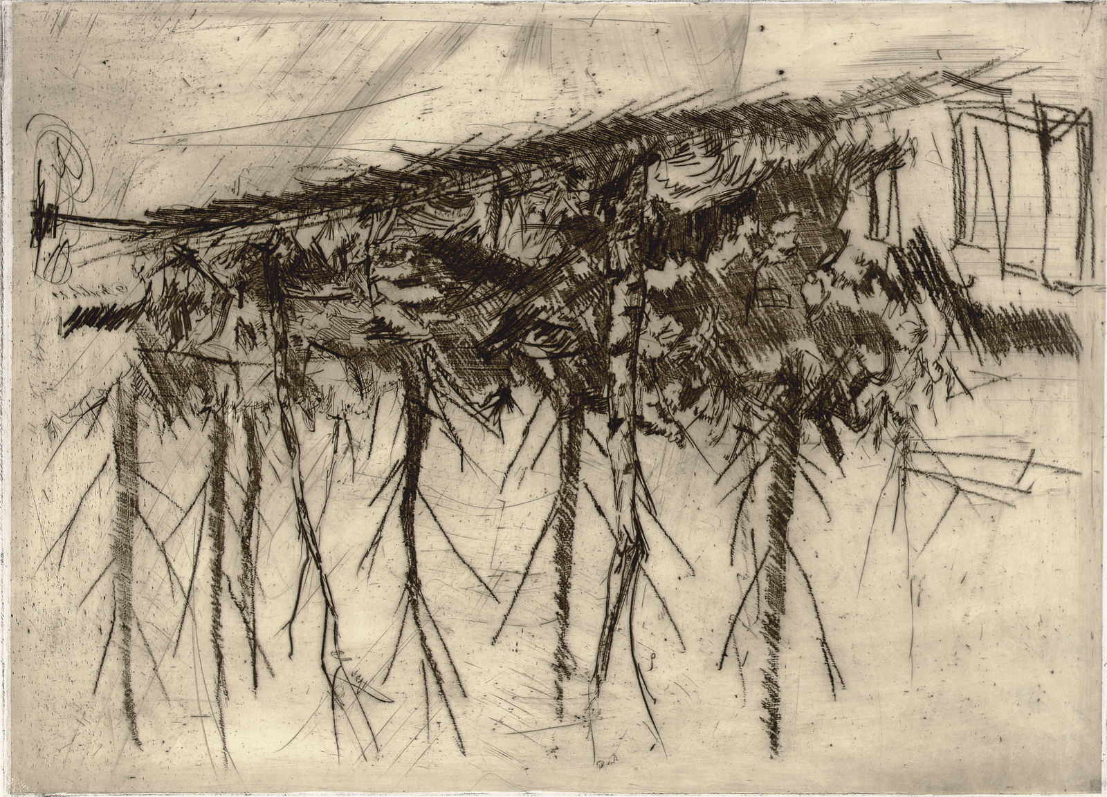 Georg Baselitz, Birken, 1971-1972