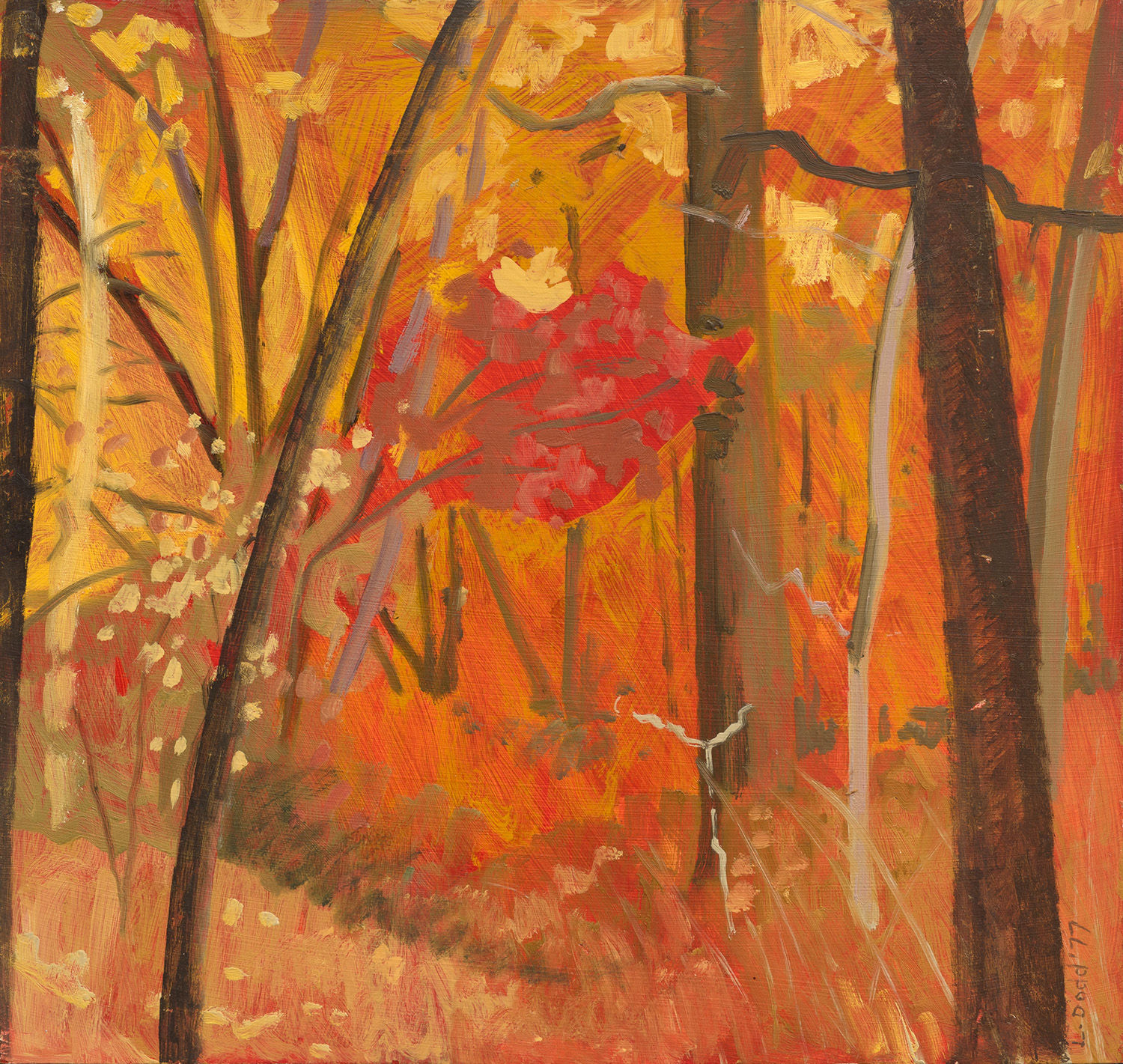 Lois Dodd, Red Woods, 1977