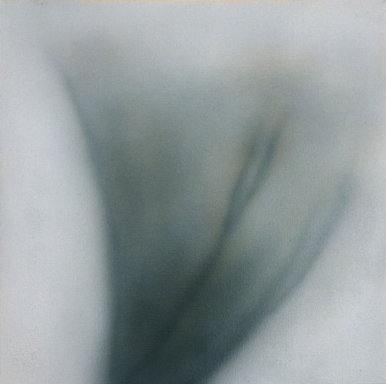 Betty Tompkins, Pussy Painting #26, 2016