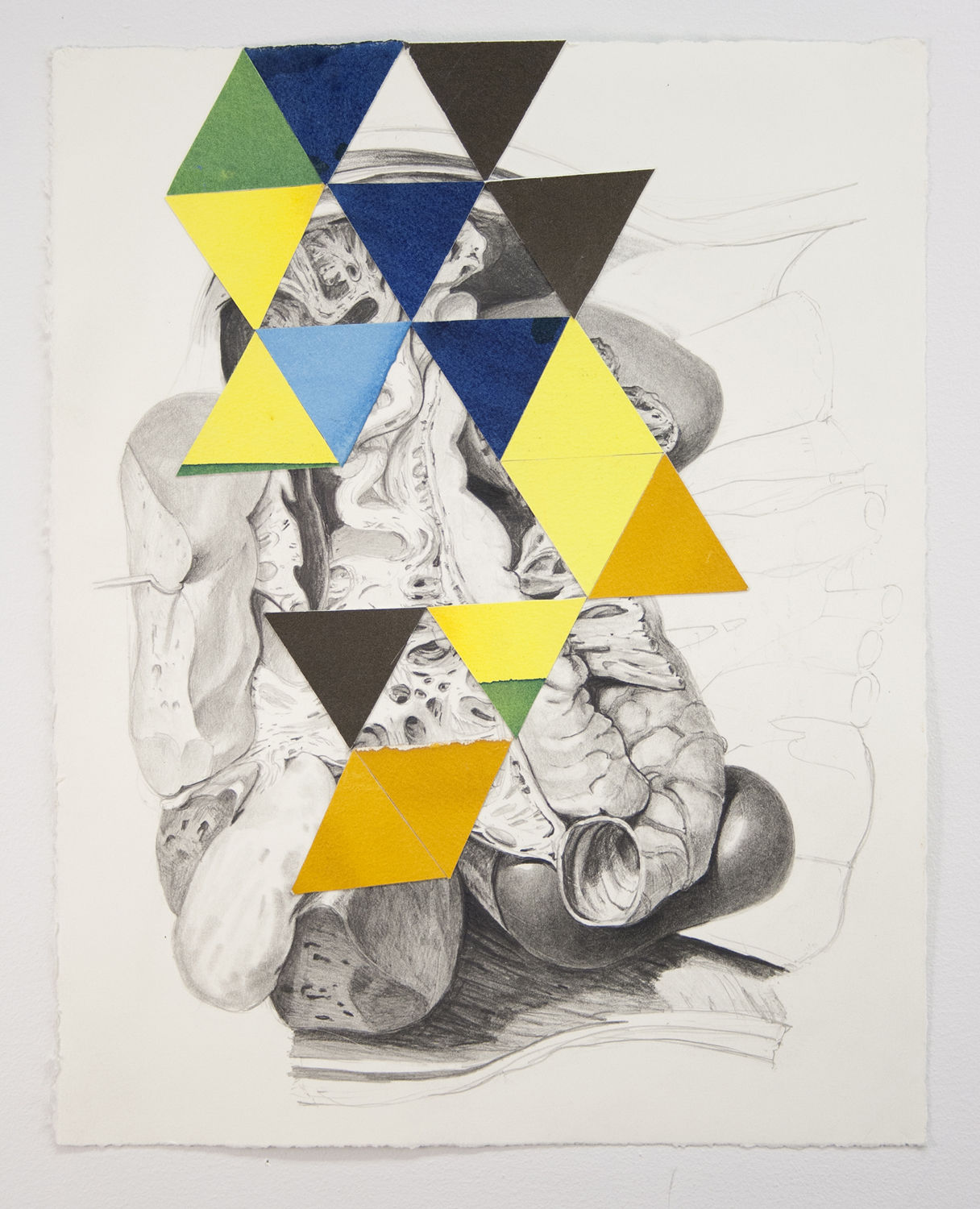 Steve Budington, Fenestration, 2017